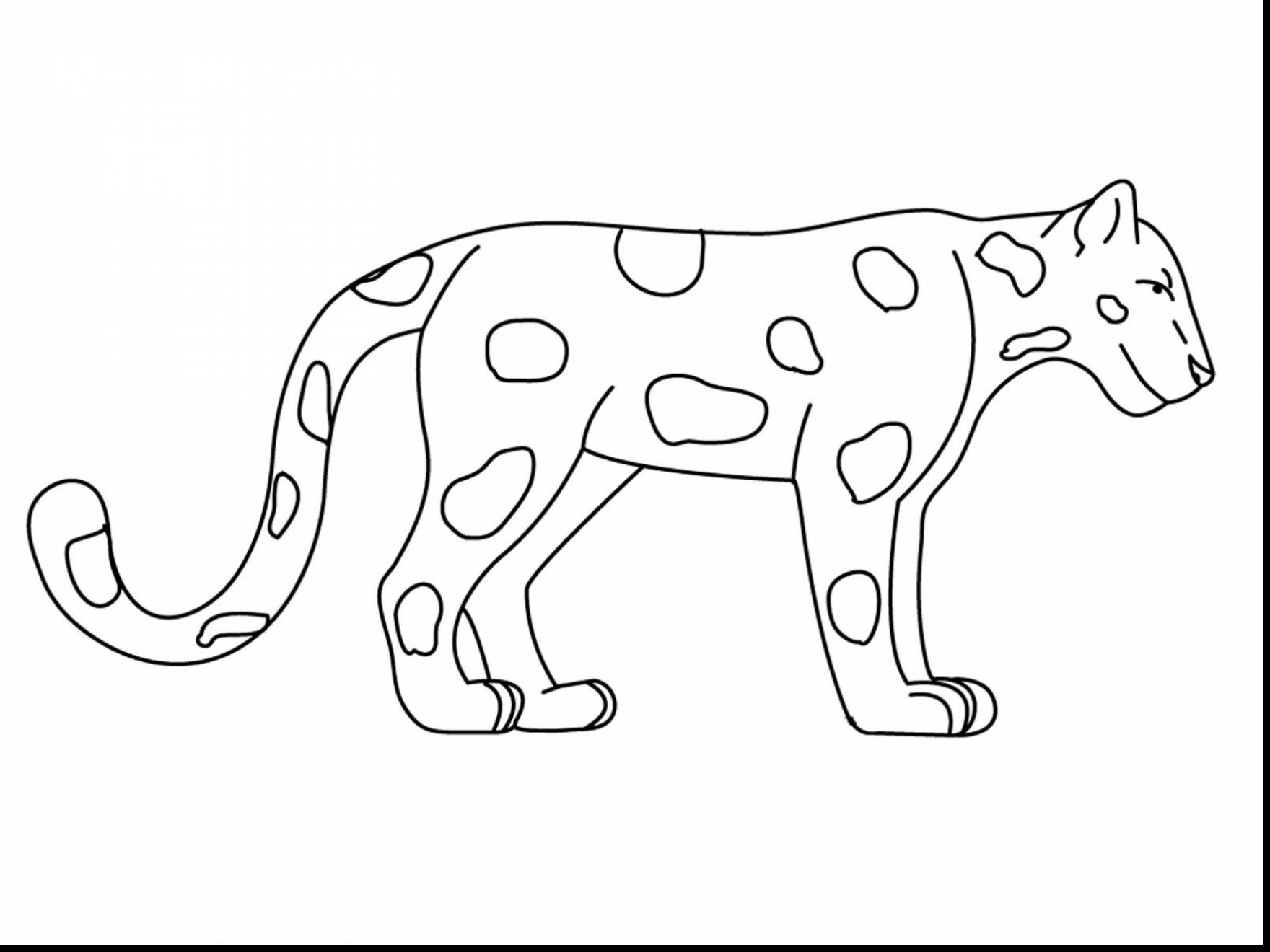 1760x1320 Great Jaguar Coloring Page Beautiful Cat Cub Car Pages Baby