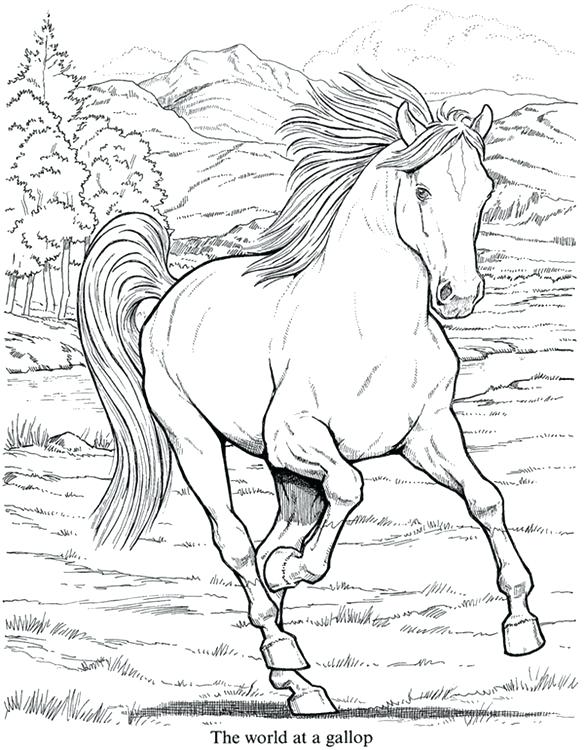584x750 Realistic Animal Coloring Pages Realistic Animal Coloring Pages