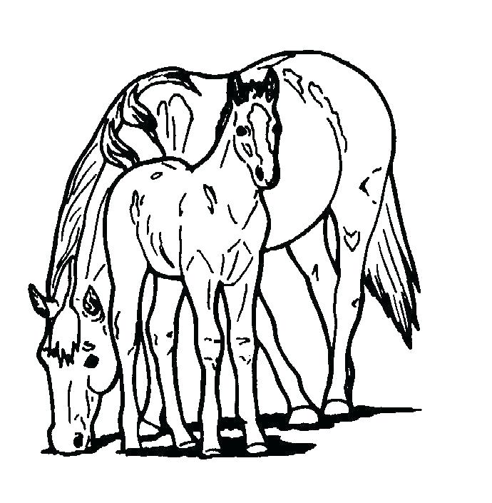 690x705 Horse Coloring Pages To Print For Free Horse Coloring Pages