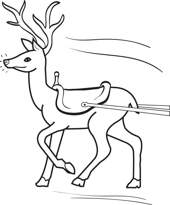 581x700 Raindeer Coloring Pages Free Printable Reindeer Coloring Page