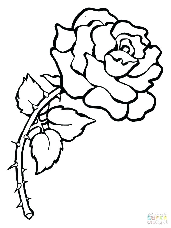 728x971 Rose Coloring Pages Roses Coloring Pages Printable Free Rose