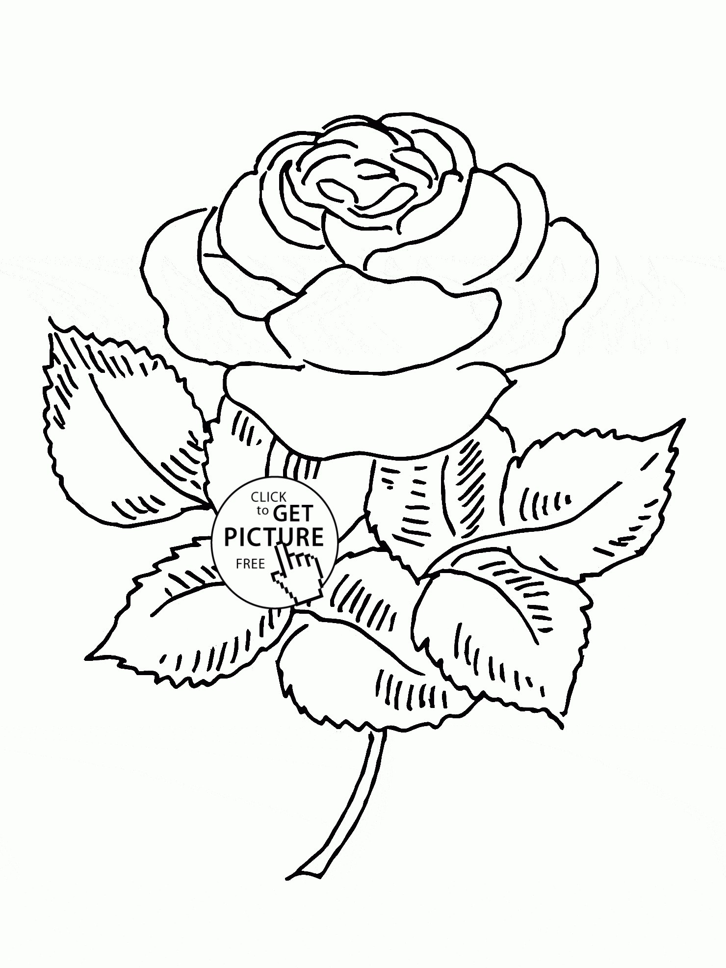 1480x1973 Roses Coloring Pages Free Printable Copy Nice Rose Flower Coloring