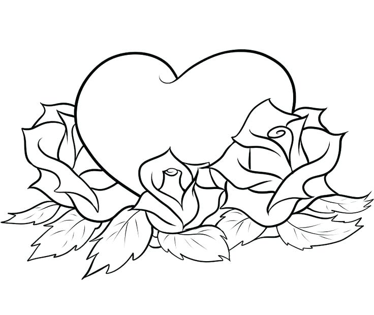 736x620 Special Rose Pictures To Color Free Printable Coloring Pages Roses
