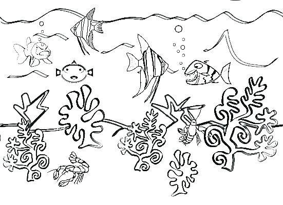 551x400 Free Printable Sea Life Coloring Pages Ocean Life Coloring Pages