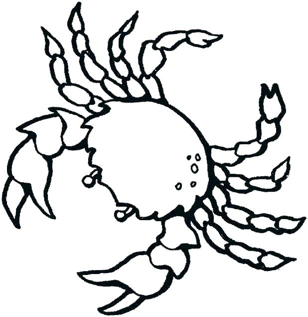 618x635 Sea Creature Coloring Pages Coloring Pages Sea Animals Ocean