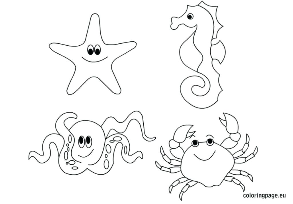 1024x715 Coloring Pages Sea Animals Printable Ocean Animals Ocean Animal