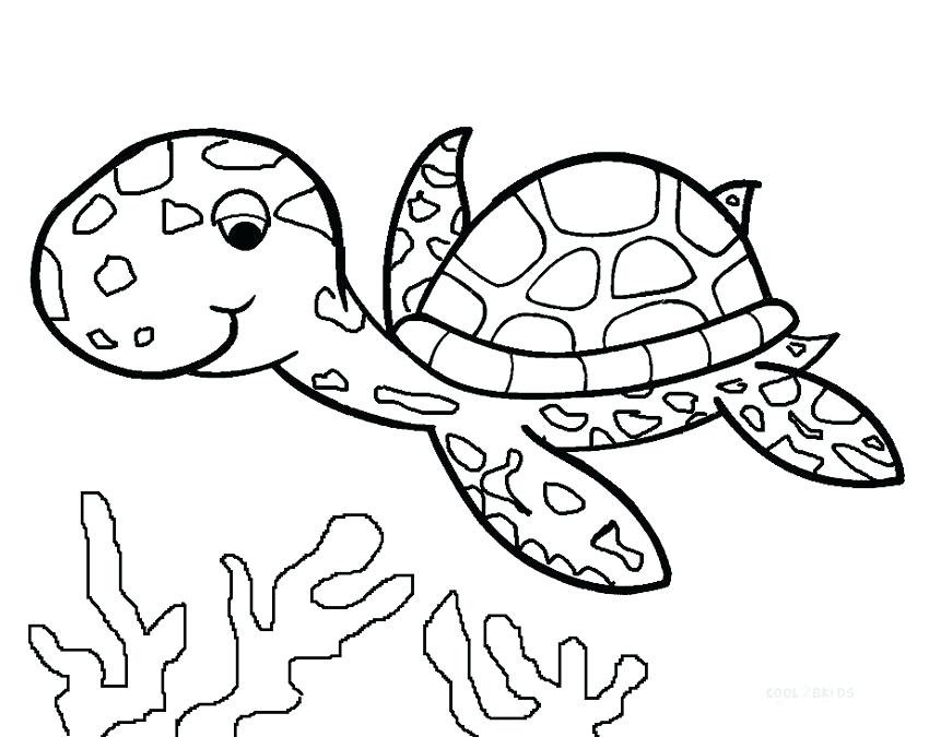 850x675 Peachy Design Turtle Coloring Page Turtle Coloring Pages For Kids