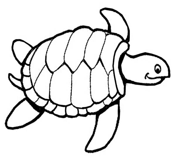 600x539 Simple Ideas Coloring Page Turtle Turtle Zentangle Coloring Page
