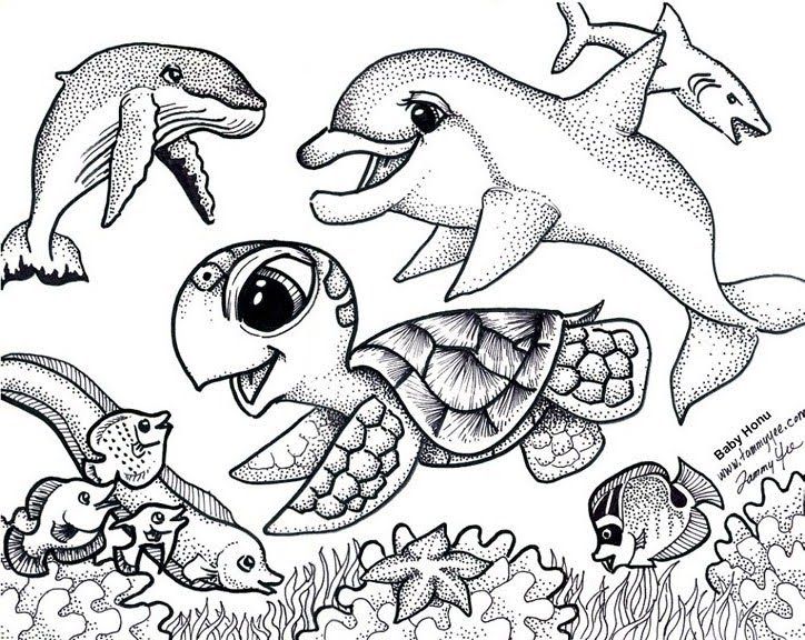 724x576 Sea Turtle Coloring Pages Sea Turtle Coloring Pages Under The Sea