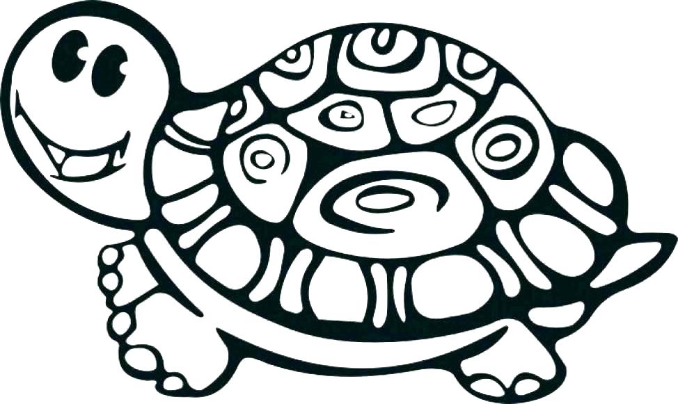 974x581 Coloring Page Turtle Coloring Picture Of A Turtle Free Printable