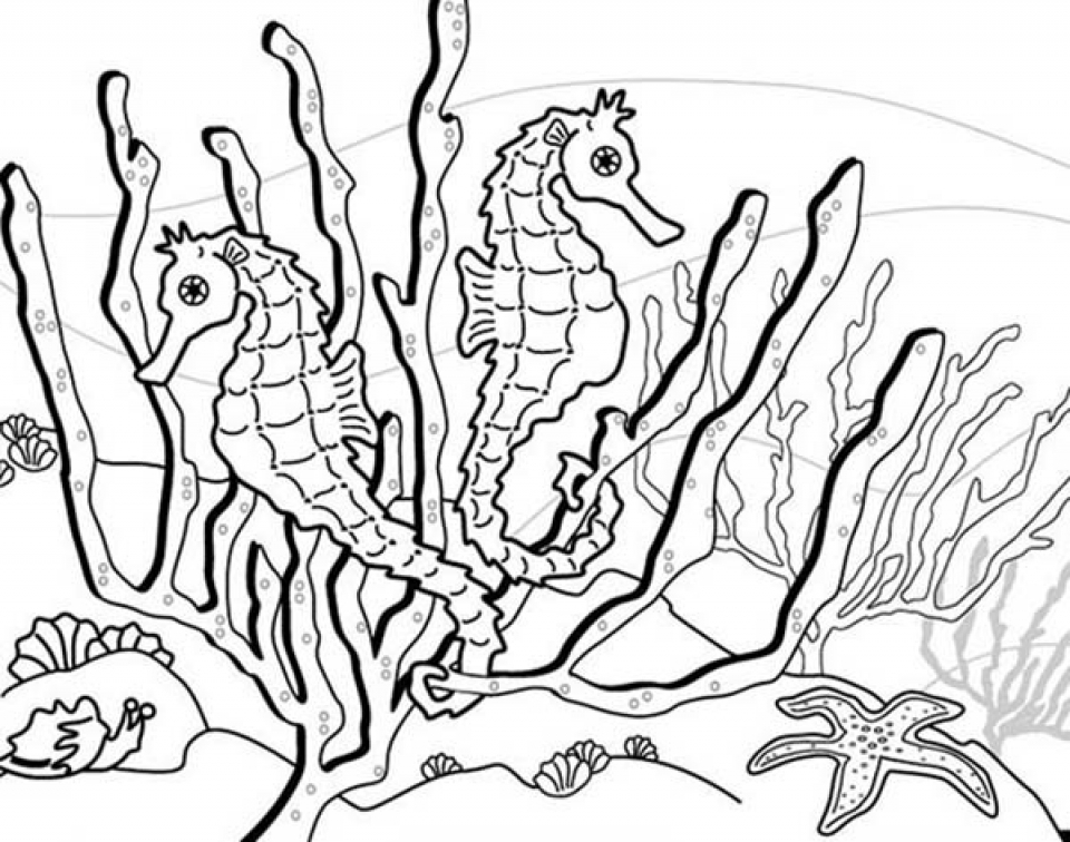 960x756 Get This Printable Seahorse Coloring Pages Online 34394 !