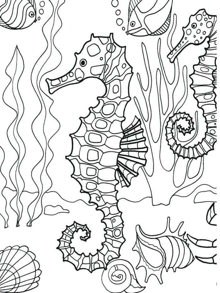 700x934 Realistic Coloring Pages Of Animals Ocean Sea Life Coloring Pages