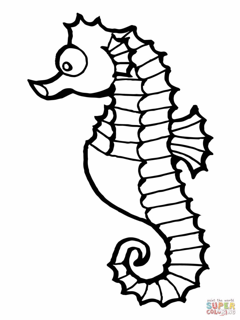 768x1024 Seahorse Pictures To Color
