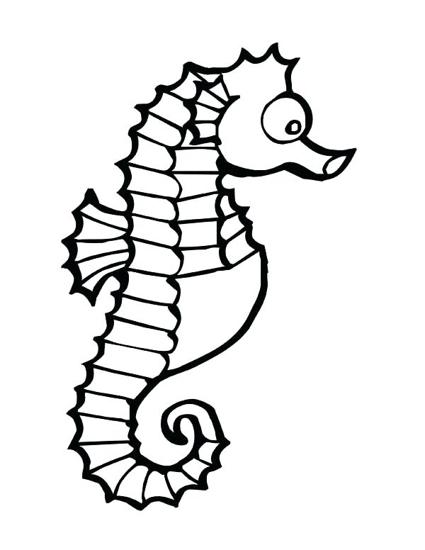 600x776 Glamorous Coloring Horse Pages