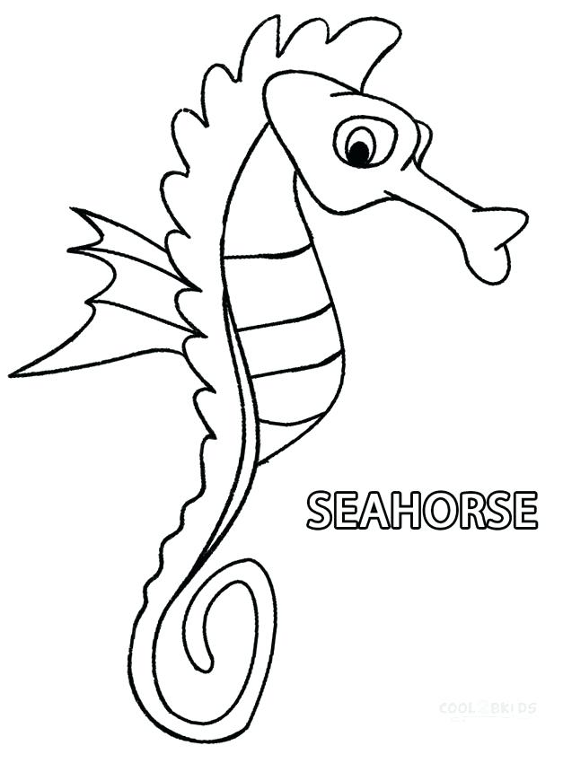 627x850 Seahorse Coloring Pages