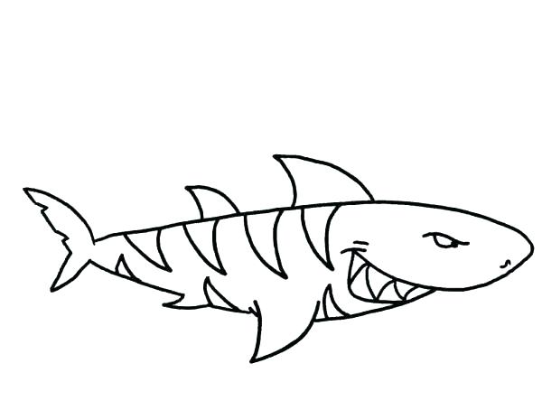 600x454 Printable Shark Coloring Pages Great White Shark Coloring Pictures