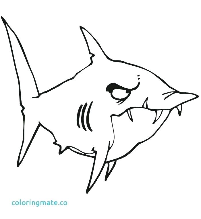 700x761 Tiger Shark Coloring Page Free Shark Coloring Pages Coloring Page