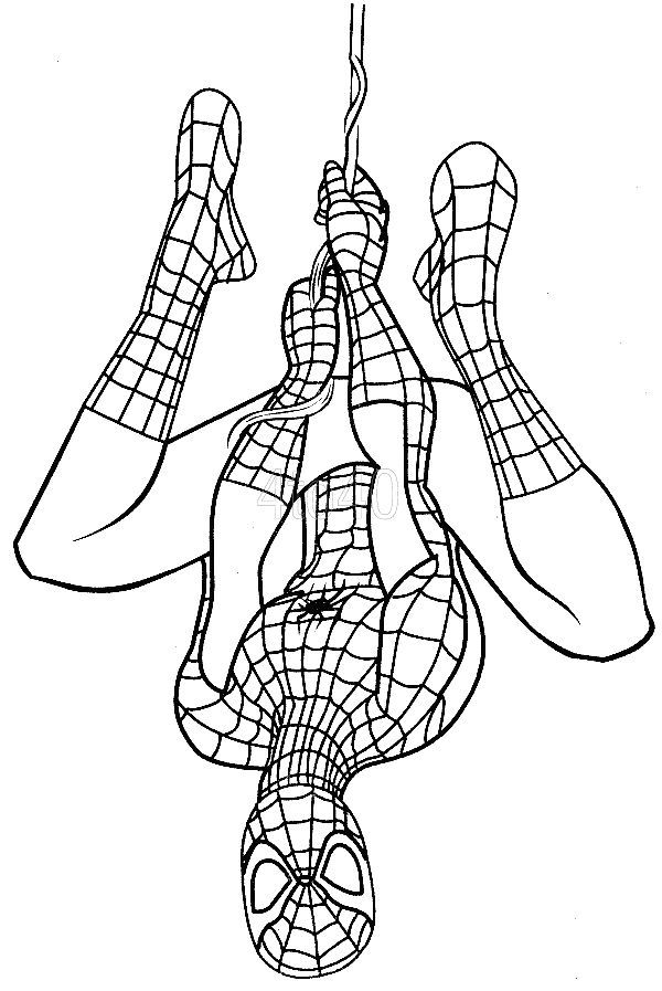 600x897 Top 33 Free Printable Spiderman Coloring Pages Online Spider Man
