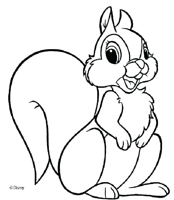 739x850 Coloring Pages Of Squirrels Squirrel Color Page Coloring Pages