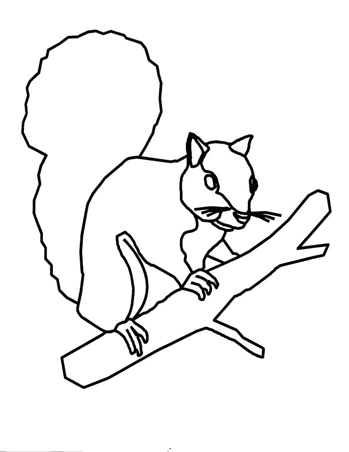 700x906 Coloring Pages Of Squirrels This Is A Beautiful Squirrel Coloring