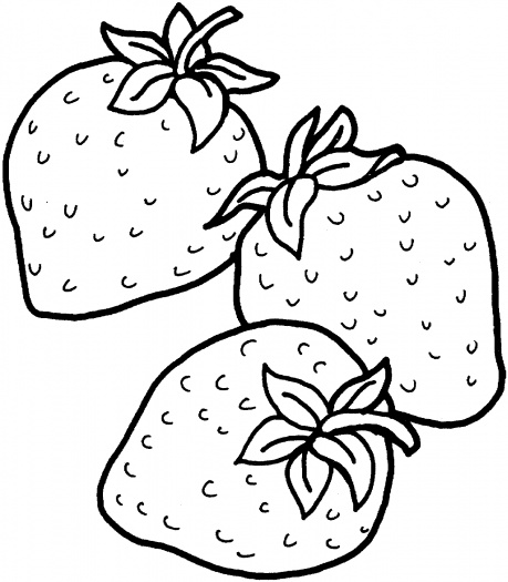 459x525 Strawberry Coloring Pages Printable Strawberry Clipart Coloring