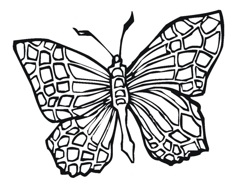 800x624 Tattoo Coloring Pages 306206