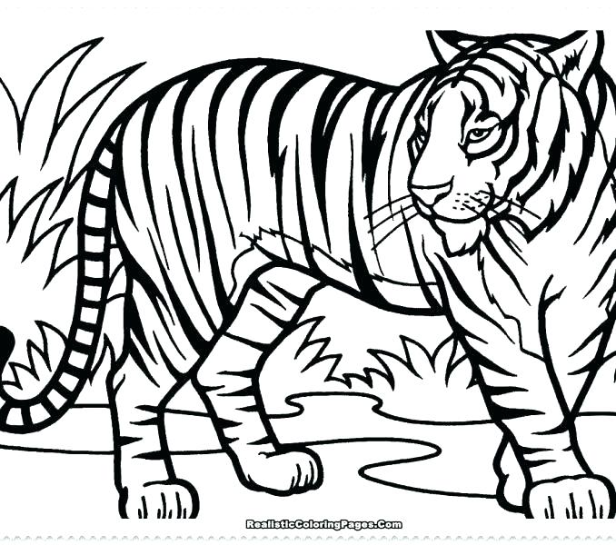 678x600 Free Printable Daniel Tiger Coloring Pages Of Tigers Colouring