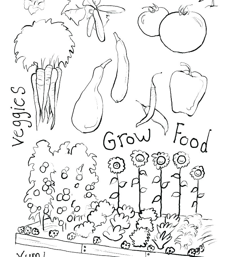 800x900 Career Day Coloring Pages