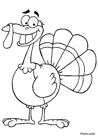 339x480 Turkey Coloring Picture