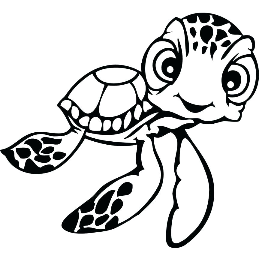 863x863 Printable Turtle Coloring Pages Free Printable Turtle Coloring