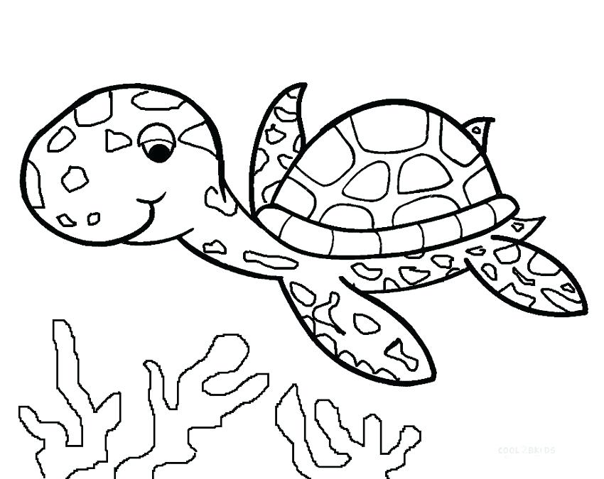 850x675 Turtle Color Pages Sea Turtle Coloring Pages Printable A Ninja