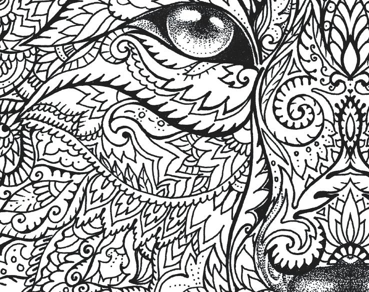 738x585 Wolf Coloring Book 25 Together With Animal Coloring Pages Peter