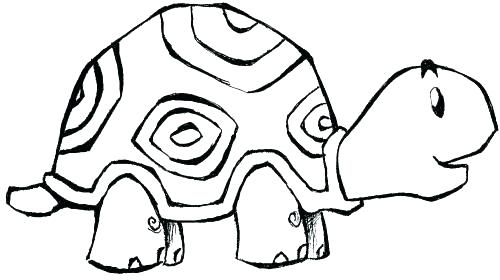500x280 Zoo Animal Coloring Sheets Zoo Animals Coloring Pages Clip Arts
