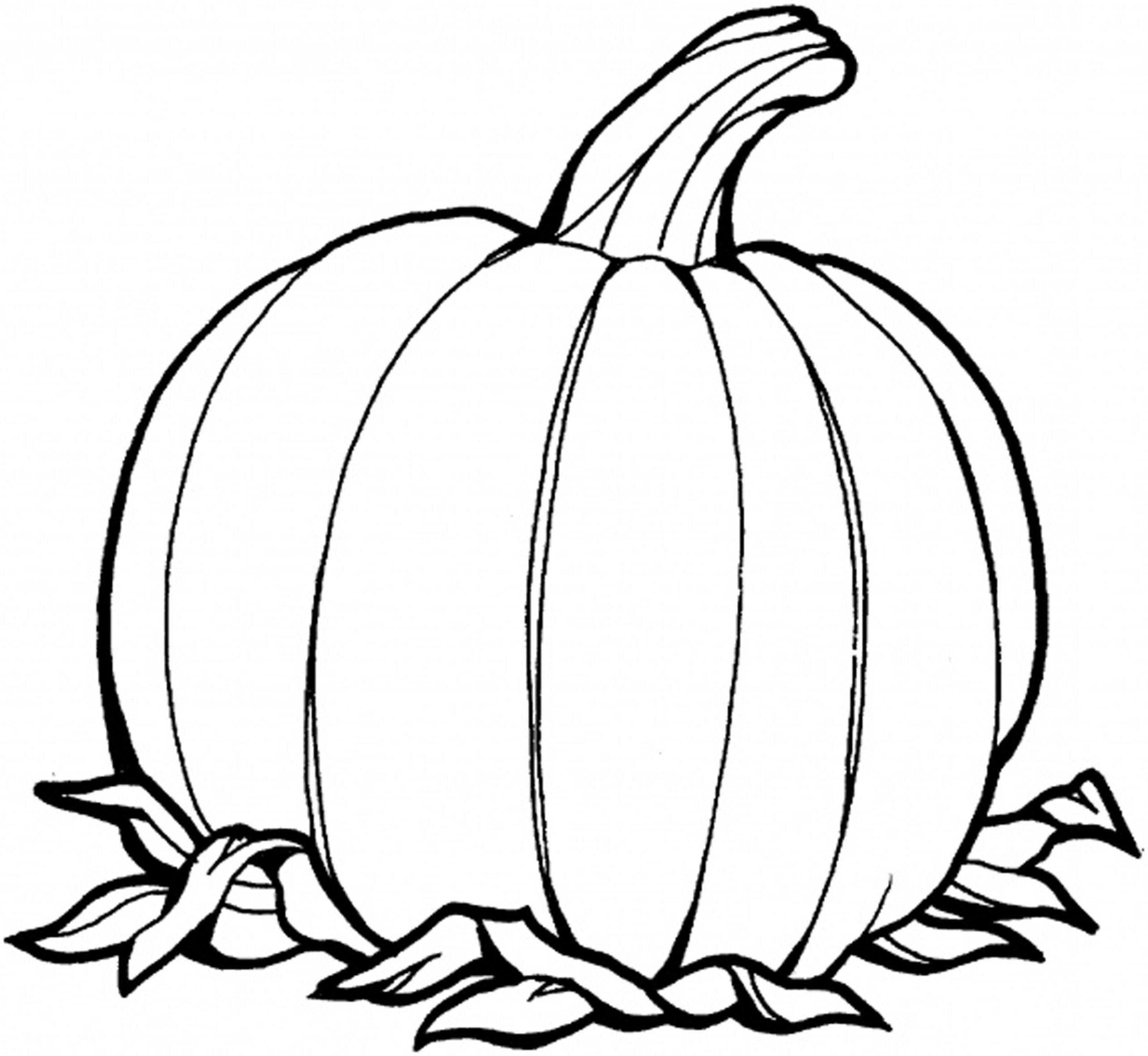 2550x2345 Brilliant Pumpkin Coloring Pageble Pages Free Blank Page Printable