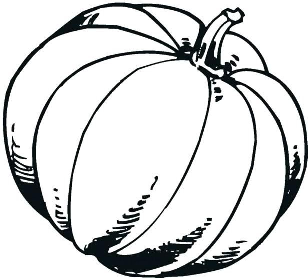 615x554 Free Pumpkin Coloring Pages Pumpkin Coloring Pages Free Pumpkin