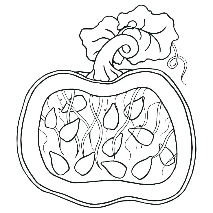 736x736 Happy Pumpkins Coloring Pages