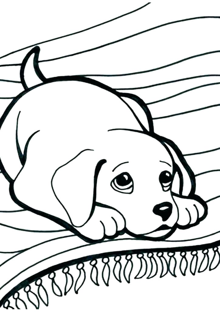724x1024 Coloring Pages Puppies And Kittens Kittens And Puppies Coloring