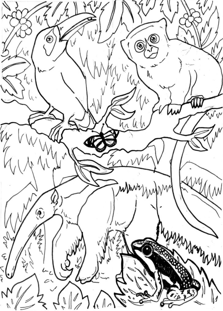 728x1016 Free Rainforest Coloring Books Coloring Pages Kids