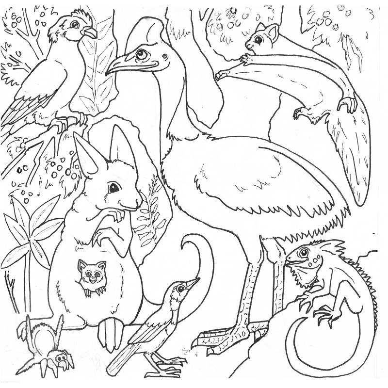 800x800 Free Rainforest Coloring Pages 457850