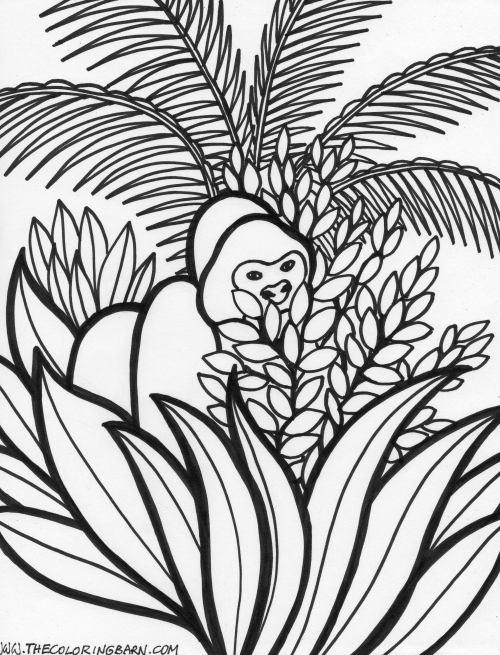 1000x1310 Printable Coloring Pages Jungle Animals Rain Forest Free