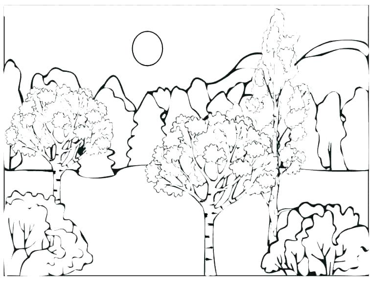 756x585 Coloring Pages Kindergarten Coloring Sheets Coloring Pages Forest