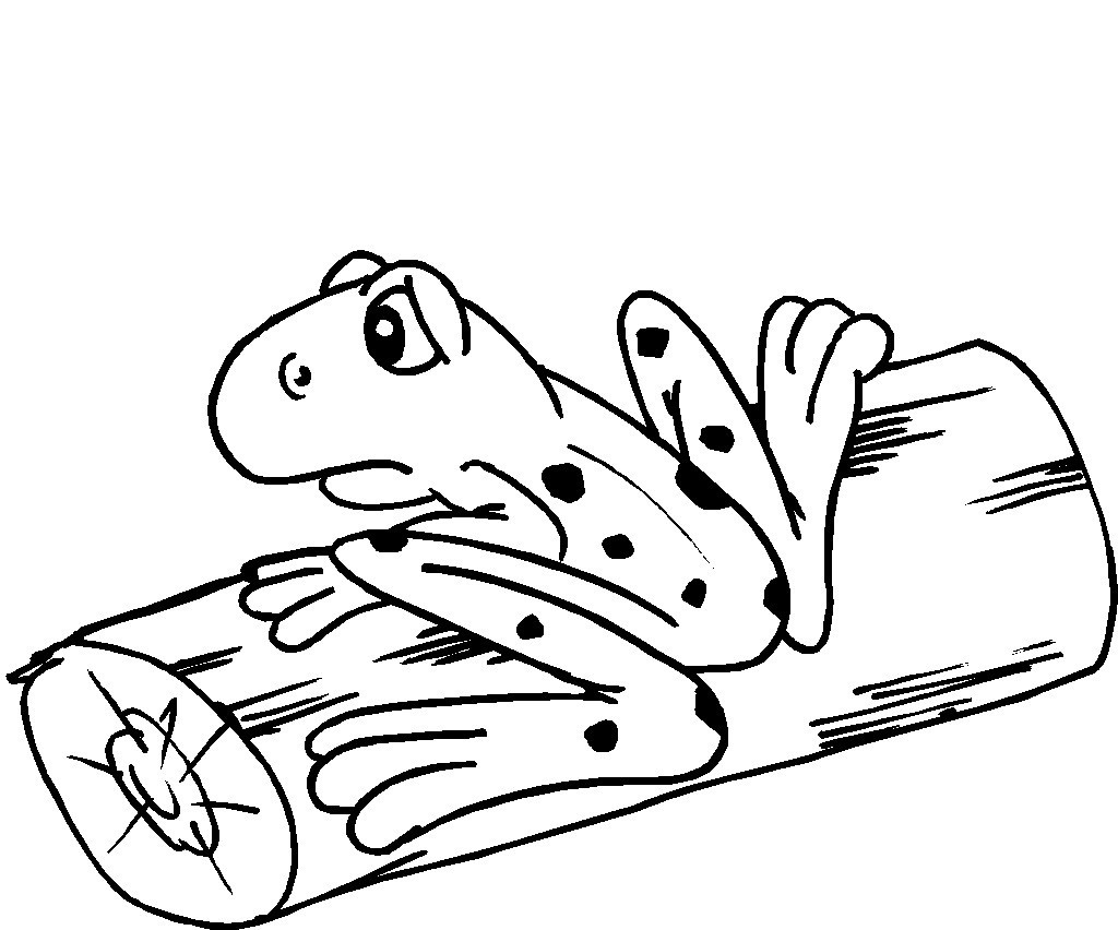 1024x852 Free Printable Frog Coloring Pages For Kids