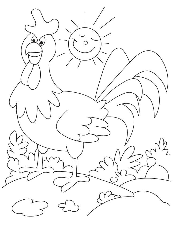 738x972 Rooster Coloring Page Printable Coloring Page