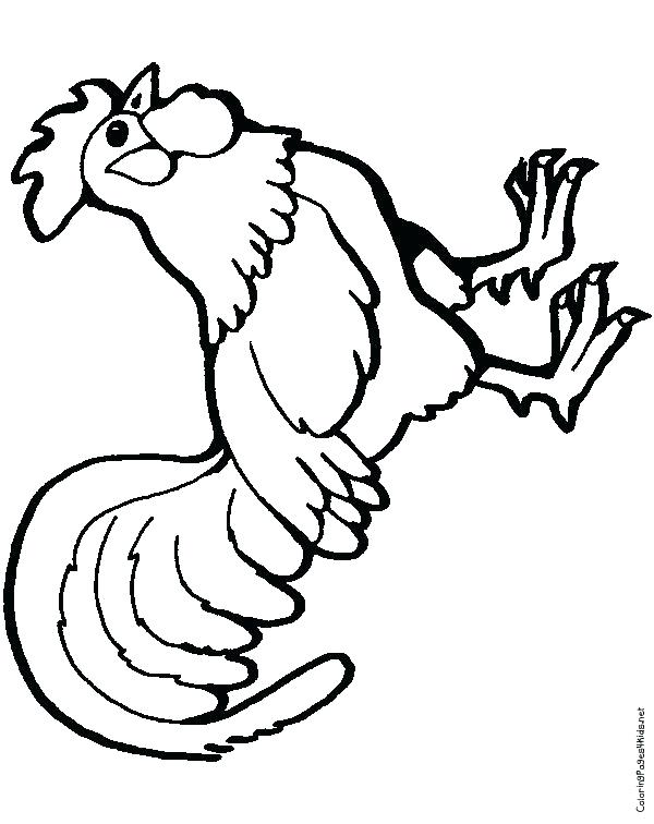 600x756 Rooster Coloring Page Rooster Coloring Page Young Rooster Coloring