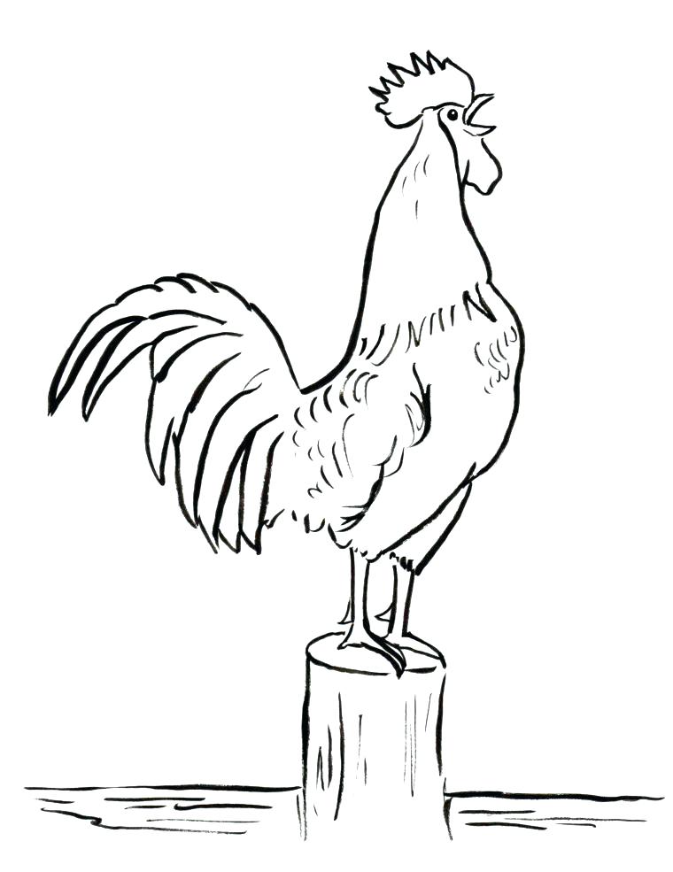 760x985 Rooster Coloring Page We Will Miss You Coloring Pages Free