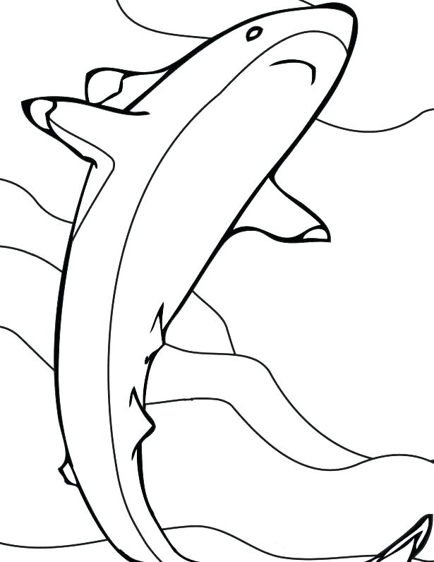 615x796 Hammerhead Shark Coloring Pages Great White Shark Coloring Tiger