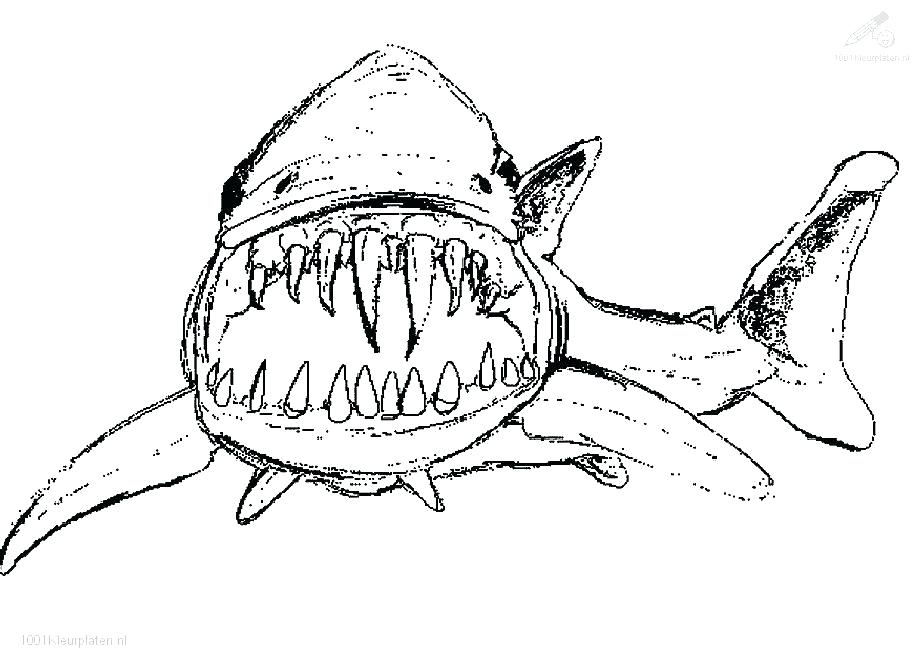 924x668 Megalodon Shark Coloring Pages Free Shark Coloring Pages 5