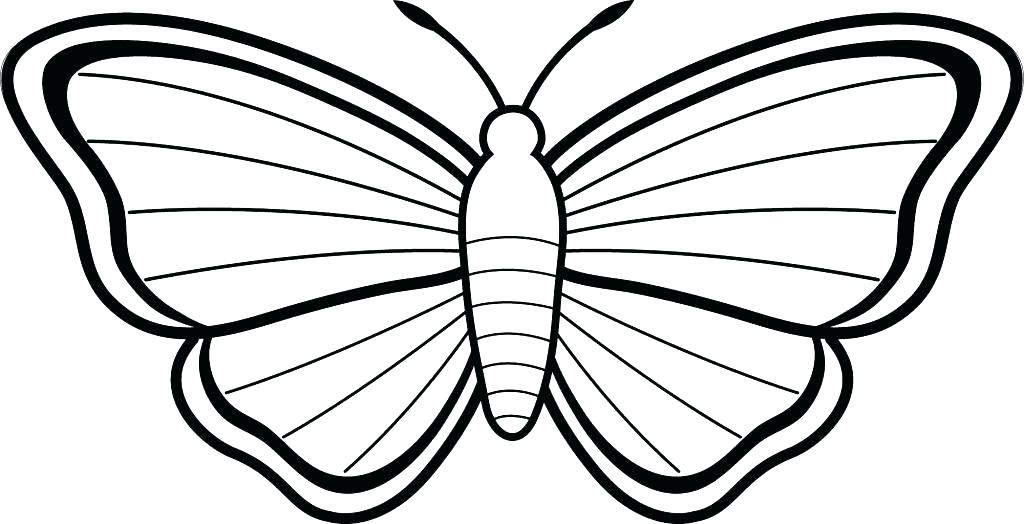 1024x524 Simple Flower Coloring Pages Printable Flowers To Color Printable
