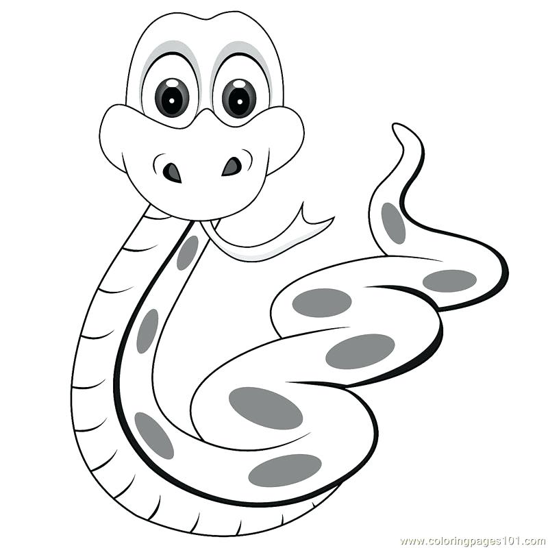 800x800 Cobra Snake Coloring Pictures Printable Coloring Snake Coloring