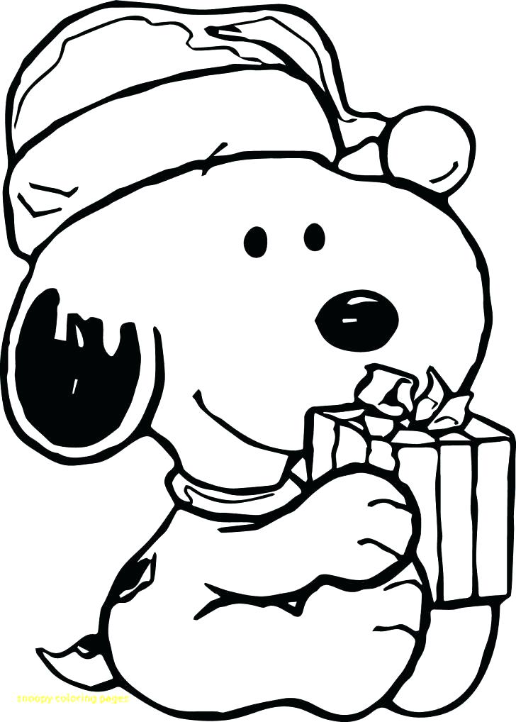 728x1018 Snoopy Coloring Book